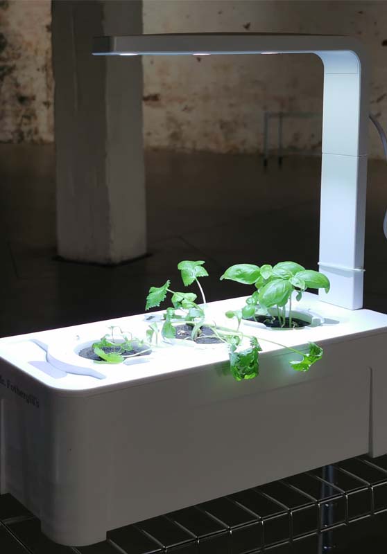 hydroponic garden image