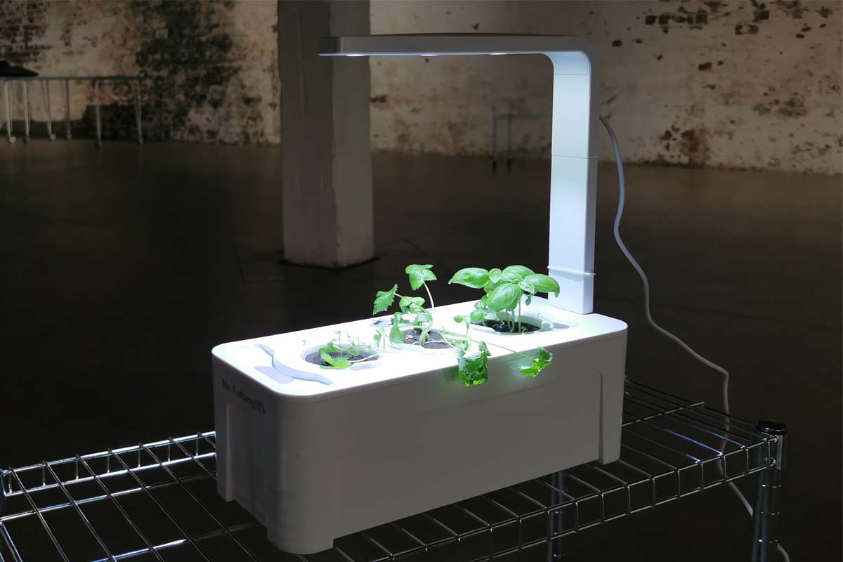 Hydroponic systems 3SDC image